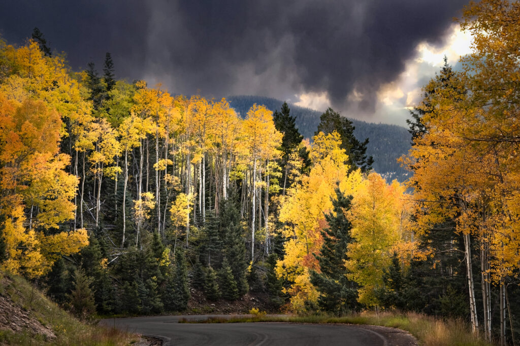 Autumn gold in the Sangre de Cristo mountains above Santa Fe