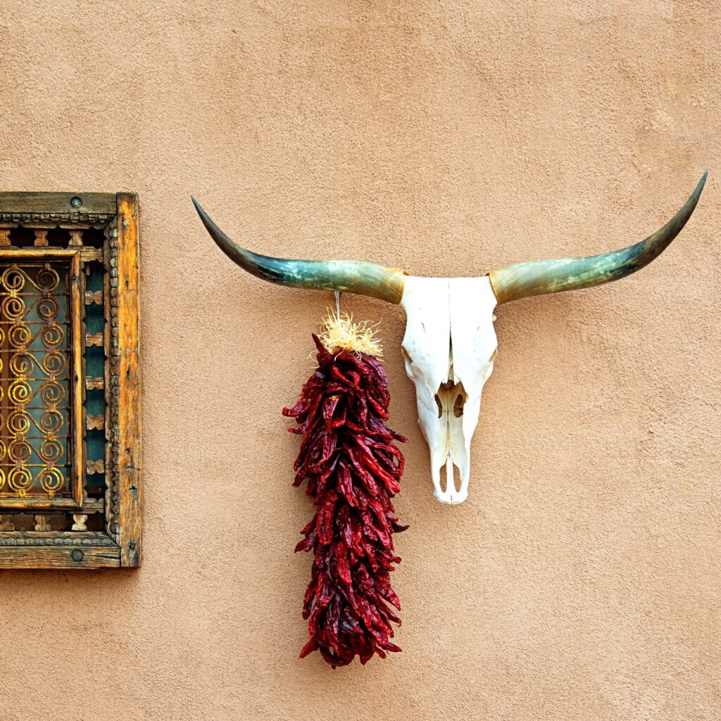 Cattle horns and ristra, Santa Fe Small Group Walking Tours